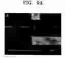 Fig. 07 - Semiconductor carbon nanotubes fabricated by hydrogen functionalization and method for fabricating the same