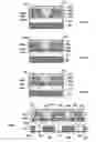 Fig. 04 - Semiconductor element, organic transistor, light-emitting device, and electronic device