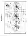 Fig. 02 - Sensor platform using a horizontally oriented nanotube element