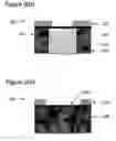 Fig. 05 - Sensor platform using a horizontally oriented nanotube element