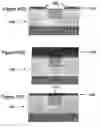Fig. 08 - Sensor platform using a horizontally oriented nanotube element