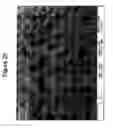 Fig. 35 - Sensor platform using a horizontally oriented nanotube element