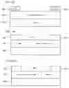Fig. 09 - Spin injection magnetic domain wall displacement device and element thereof