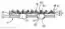 Fig. 01 - Carrying structure of electronic components