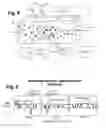Fig. 04 - Microencapsulation system and method