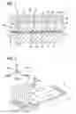 Fig. 02 - Insert molding device and insert molding method