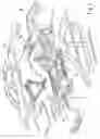 Fig. 03 - Motor vehicle body comprising a support structure made of large-size partial modules