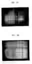 Fig. 07 - Carbon nanotube structure and method of manufacturing the same, field emission device using the carbon nanotube structure and method of manufacturing the field emission device