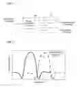 Fig. 02 - Filter and duplexer