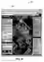 Fig. 19 - Maintaining user privacy in a virtual earth environment