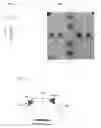 Fig. 08 - Microwave self-phasing antenna arrays for secure data transmission and satellite network crosslinks