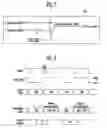Fig. 05 - Driving apparatus and driving method for electron emission device
