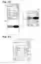 Fig. 15 - Cylindrical projected picture generation method, program, and cylindrical projected picture generation device