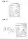 Fig. 17 - Cylindrical projected picture generation method, program, and cylindrical projected picture generation device