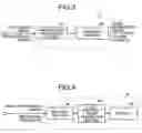 Fig. 04 - Method and system for display image information