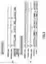 Fig. 04 - Image display apparatus and signal processing apparatus