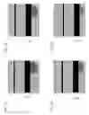 Fig. 05 - Rolling shutter for prevention of blooming