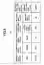 Fig. 07 - Make-up counseling apparatus