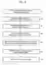 Fig. 09 - Method for determining vision defects and for collecting data for correcting vision defects of the eye by interaction of a patient with an examiner and apparatus therefor
