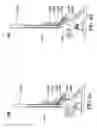 Fig. 11 - Electronic device and support mechanism thereof