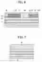 Fig. 05 - Thin film magnetic head for perpendicular magnetic recording having a main pole with plural grooves in a lower surface thereof and manufacturing method therefore