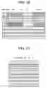 Fig. 12 - Thin film magnetic head for perpendicular magnetic recording having a main pole with plural grooves in a lower surface thereof and manufacturing method therefore