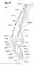 Fig. 45 - Optical manifold for light-emitting diodes