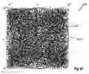 Fig. 64 - Optical manifold for light-emitting diodes