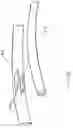 Fig. 07 - Knock down hardback collapsible lampshade