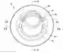 Fig. 01 - Projector-type lamp unit for vehicle
