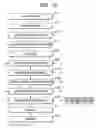 Fig. 14 - DRAM stacked package, DIMM, and semiconductor manufacturing method