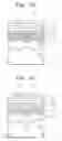 Fig. 05 - NAND flash memory device and methods of its formation and operation