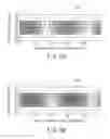 Fig. 09 - OPTICAL HEAD APPARATUS USING DOUBLE LAYER MEDIUM