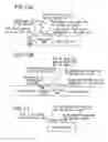 Fig. 14 - Data storage medium and apparatus and method for reproducing the data from the same