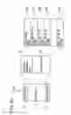 Fig. 42 - Data storage medium and apparatus and method for reproducing the data from the same