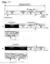 Fig. 12 - Write-once read-many information recording medium, information recording method, information reproduction method, information recording apparatus, and information reproduction apparatus