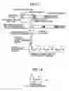 Fig. 24 - Transmitter, transmitting method, receiver, and receiving method for MC-CDMA communication system