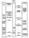 Fig. 03 - Connection of users in hybrid communication networks