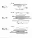 Fig. 08 - Policy control and billing support for call transfer in a session initiation protocol (SIP) network
