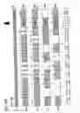Fig. 133 - Digital communication method and system
