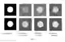 Fig. 04 - Method and Apparatus for Compressive Imaging Device