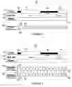 Fig. 02 - Search algorithms for using related decode and display timelines