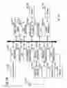 Fig. 30 - Coding distortion removal method, video encoding method, video decoding method, and apparatus and program for the same