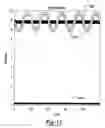 Fig. 12 - Frequency interference detection and correction