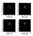 Fig. 05 - Tomographic imaging system using a conformable mirror