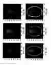 Fig. 06 - Tomographic imaging system using a conformable mirror