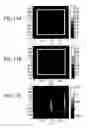 Fig. 11 - Tomographic imaging system using a conformable mirror