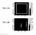 Fig. 12 - Tomographic imaging system using a conformable mirror
