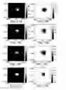 Fig. 19 - Tomographic imaging system using a conformable mirror