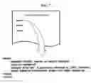 Fig. 12 - Apparatus and method for providing security service for guest network device in a network